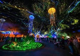 En la historia que se proyecta en el Parque Nicolás Salmerón se pueden ver animales del medio marino.