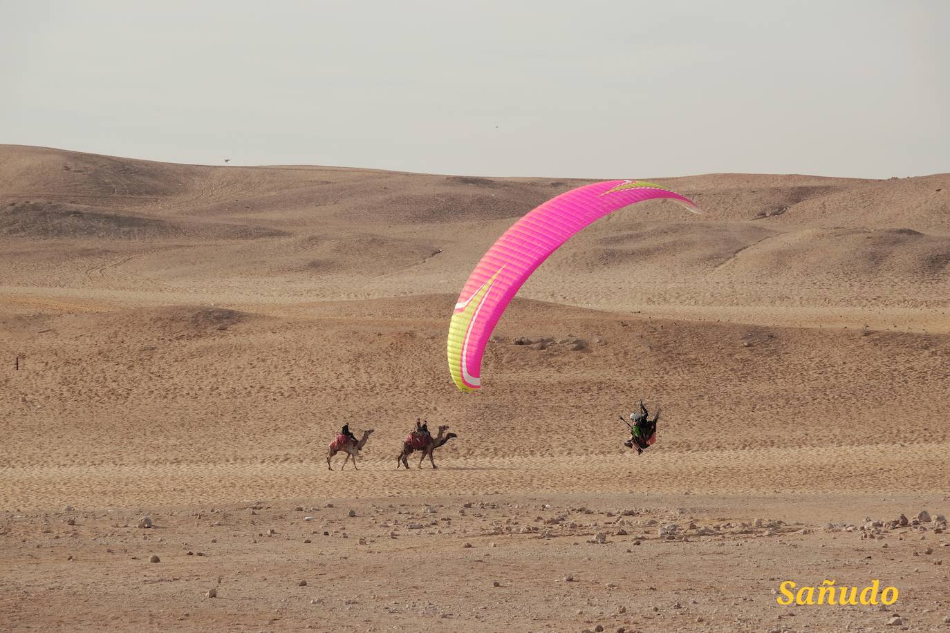Fotografiando en el desierto.