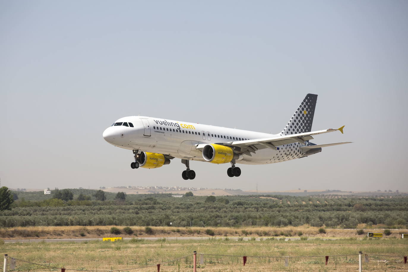 Avión de Vueling en el aeropuerto de Granada.