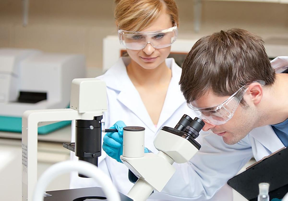 Oferta de empleo lanzada por SEPE.