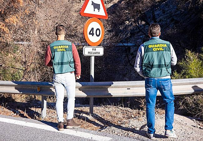 Los investigadores, en la zona donde el presunto autor inició el incendio.