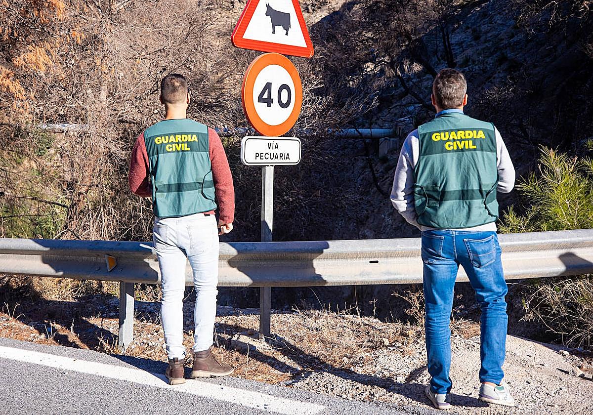 Los investigadores, en la zona donde el presunto autor inició el incendio.