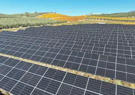 Una de las plantas fotovoltaicas de Greening Group, en Alcalá la Real.