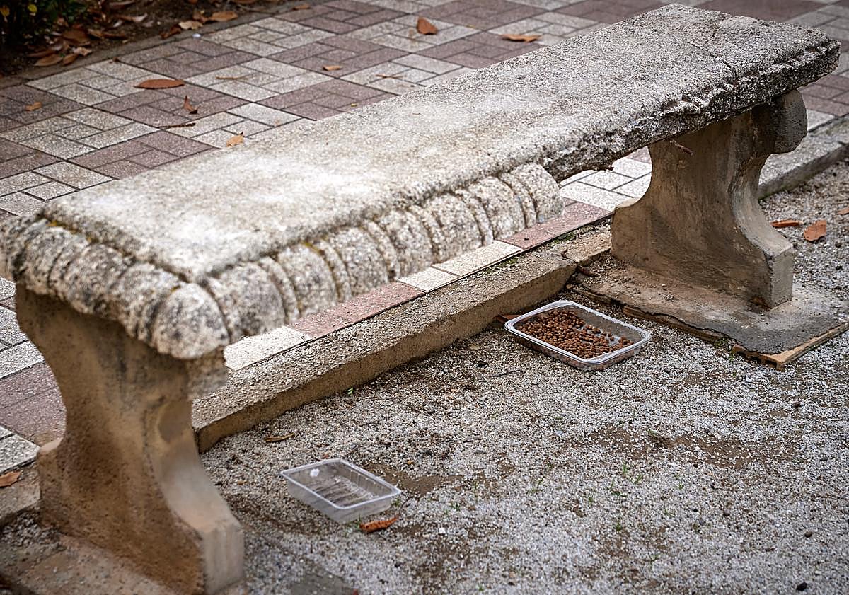 Imagen principal - Comida para los gatos de la zona | Un gato dentro de la urbanización afectada | Cartel colocado por los vecinos