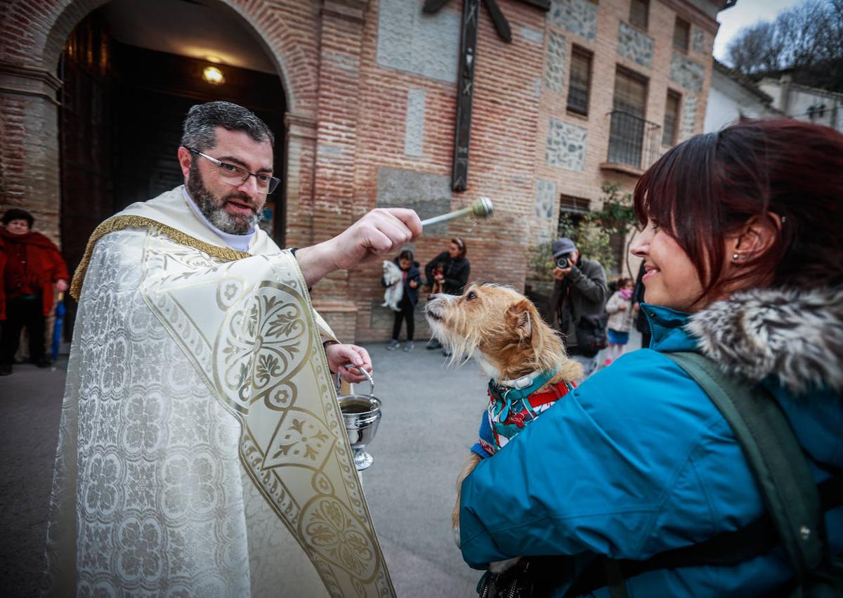 Imagen secundaria 1 - Fiestas de San Antón en Granada, mascotas y una bendición