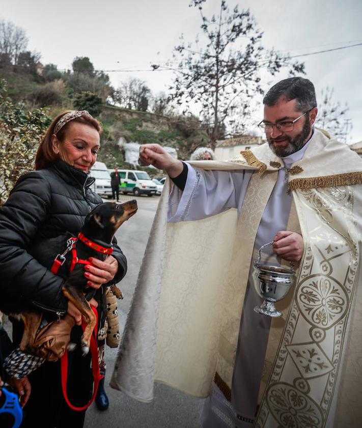 Imagen secundaria 2 - Fiestas de San Antón en Granada, mascotas y una bendición