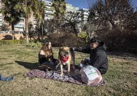 Ciudadanos toman el sol en invierno en Granada.