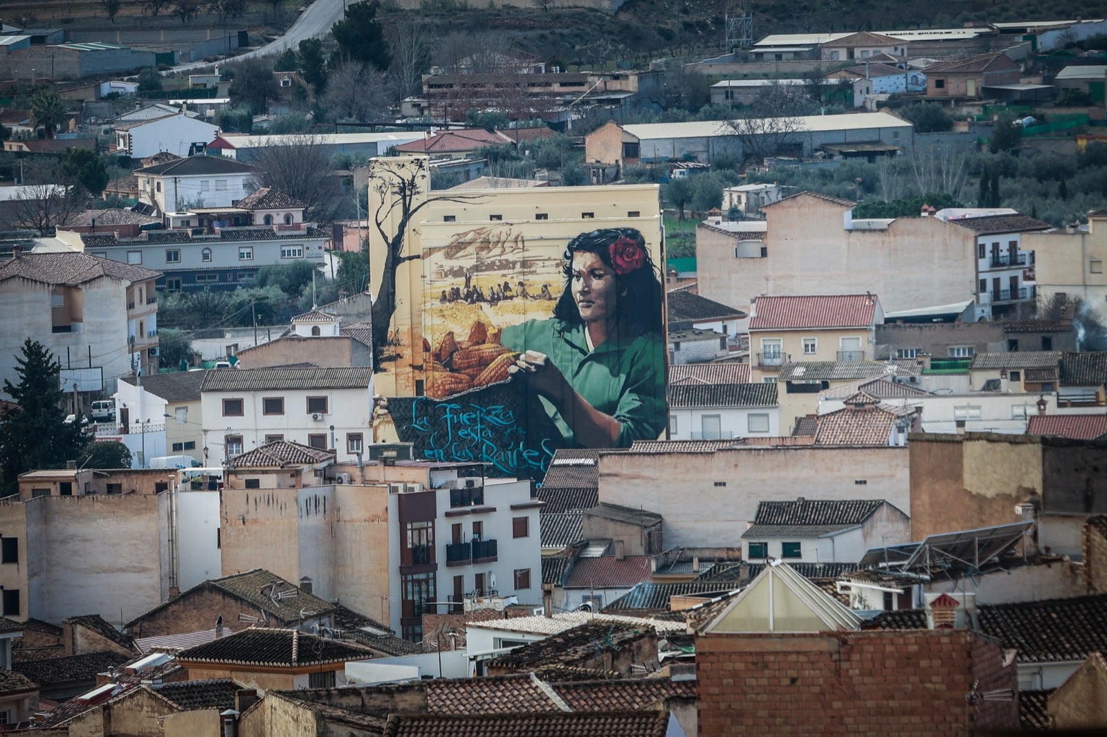 El grafiti gigante de El Niño de las Pinturas en Padul, en imágenes