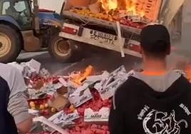 En la imagen se ven las cajas de Mabe, empresa almeriense ubicada en El Ejido.