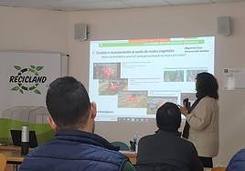 Grupo Agroponiente se adhiere al 'Proyecto Recicland' de la Junta de Andalucía e IFAPA
