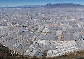 Asaja, COAG y UPA acuerdan poner en marcha un calendario de movilizaciones en las comunidades