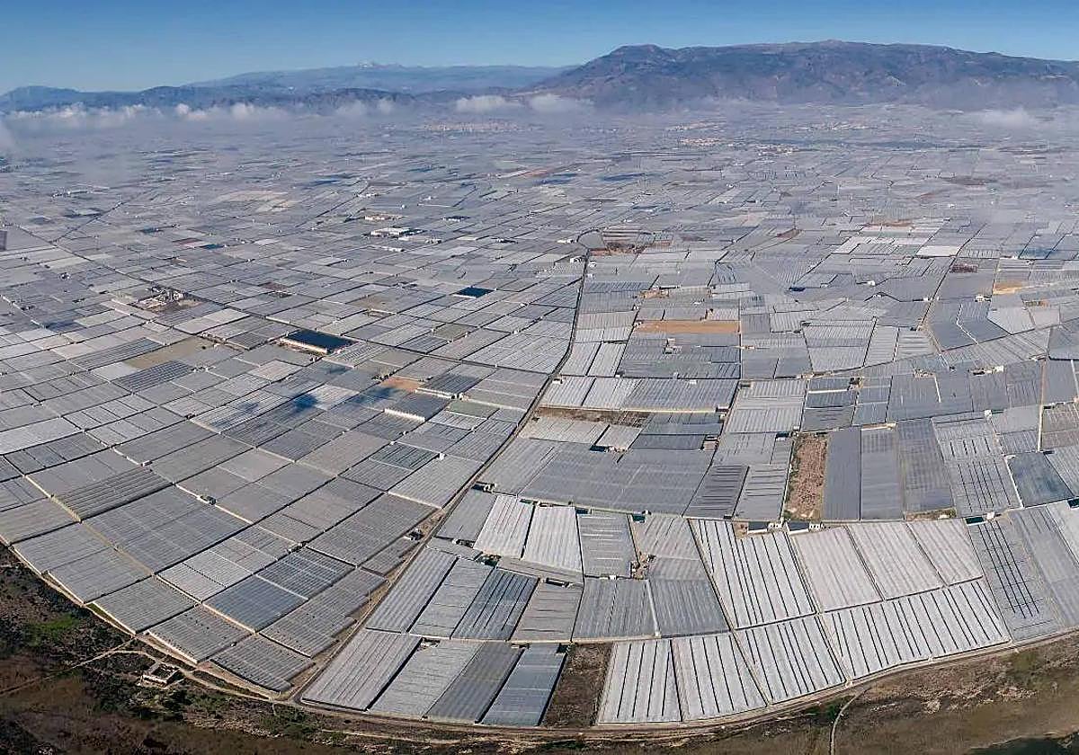 Asaja, COAG y UPA acuerdan poner en marcha un calendario de movilizaciones en las comunidades