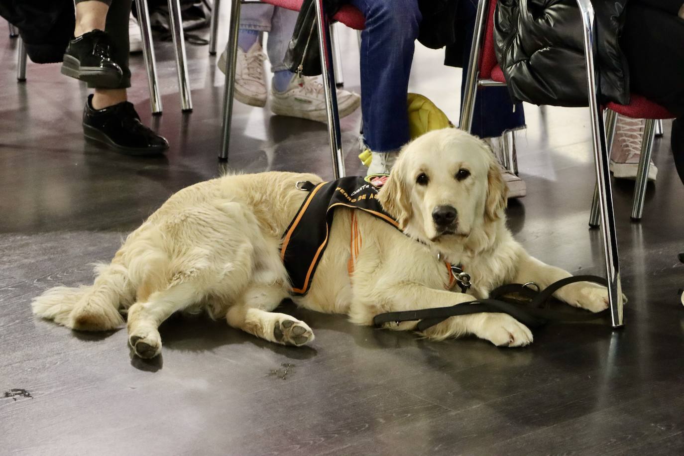 Unicaja Costa de Almería quiere dar visibilidad al autismo