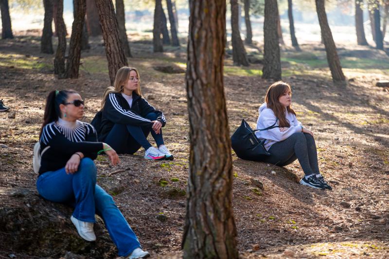 'Baño de bosque', la actividad en La Zubia para desconectar y disfrutar de la naturaleza.