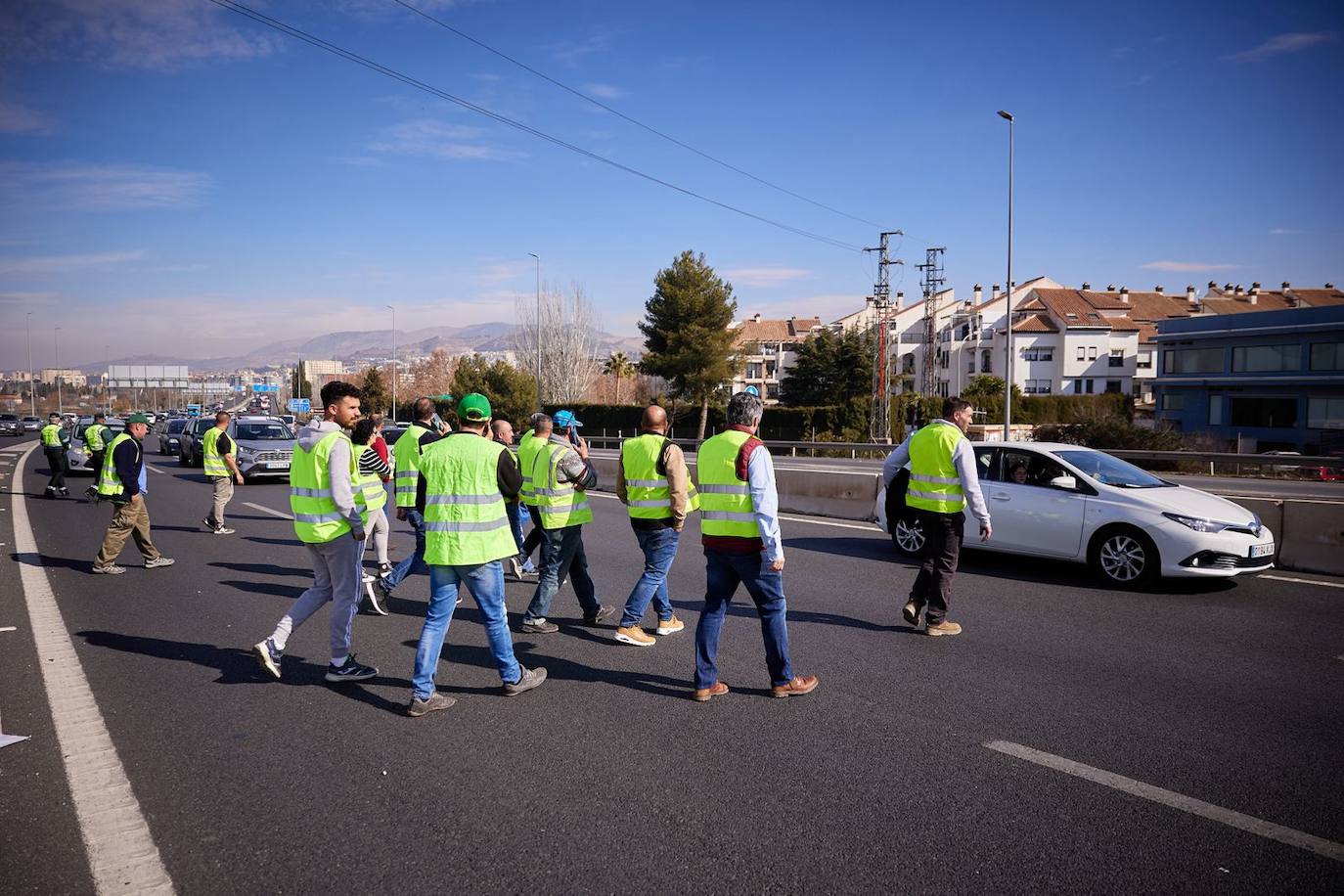 Las imágenes de la tractorada de Granada