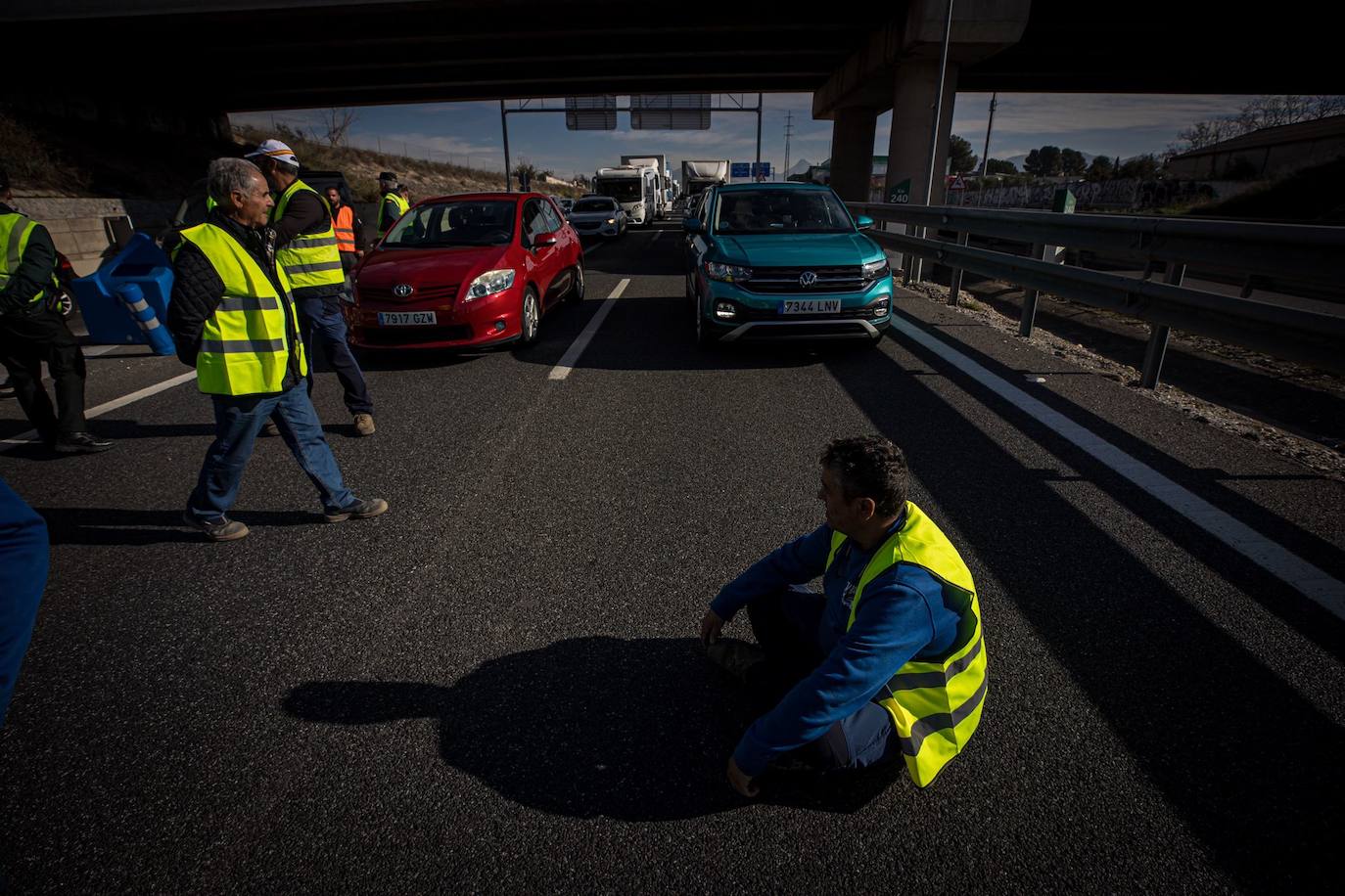 Las imágenes de la tractorada de Granada