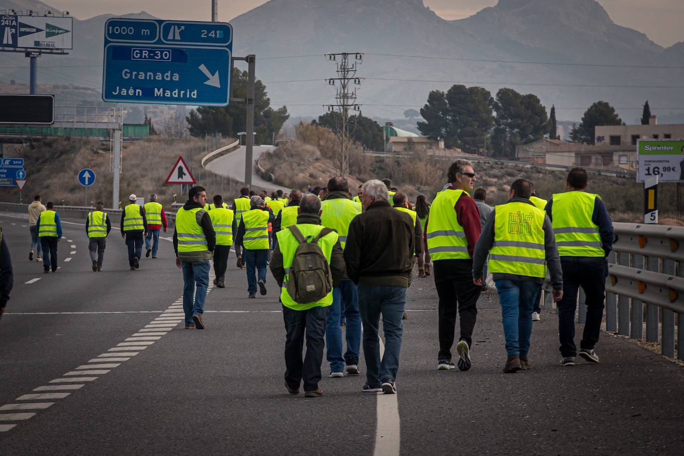 Las imágenes de la tractorada de Granada