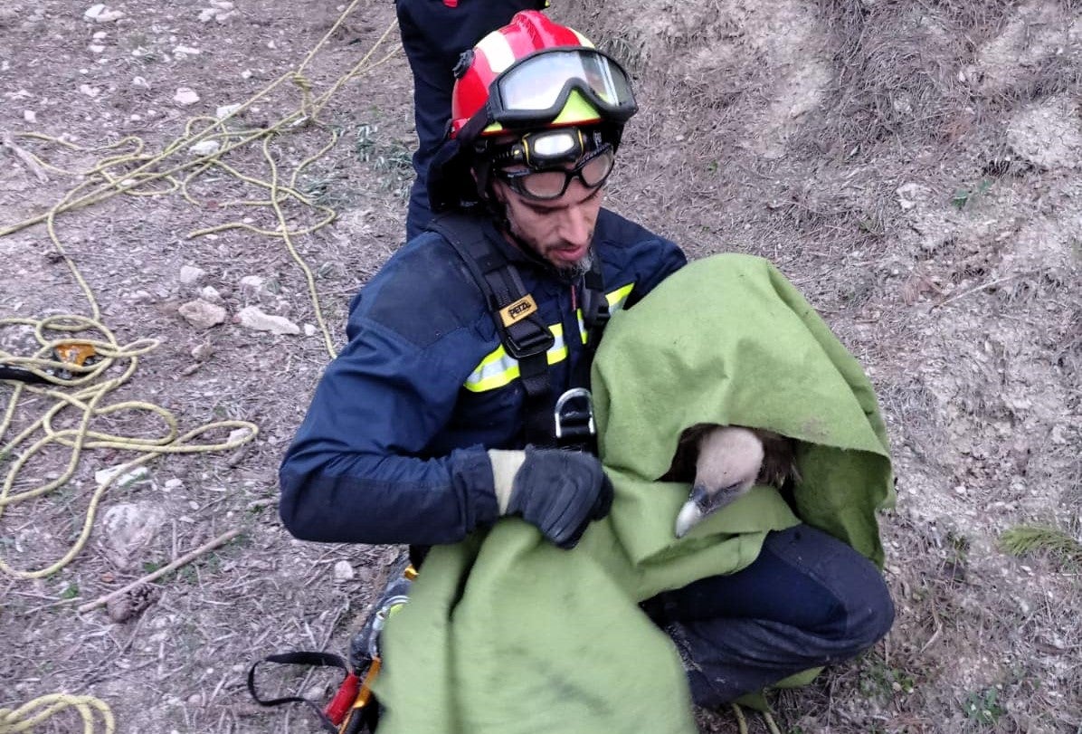 Uno de los bomberos con el ave ya rescatada.