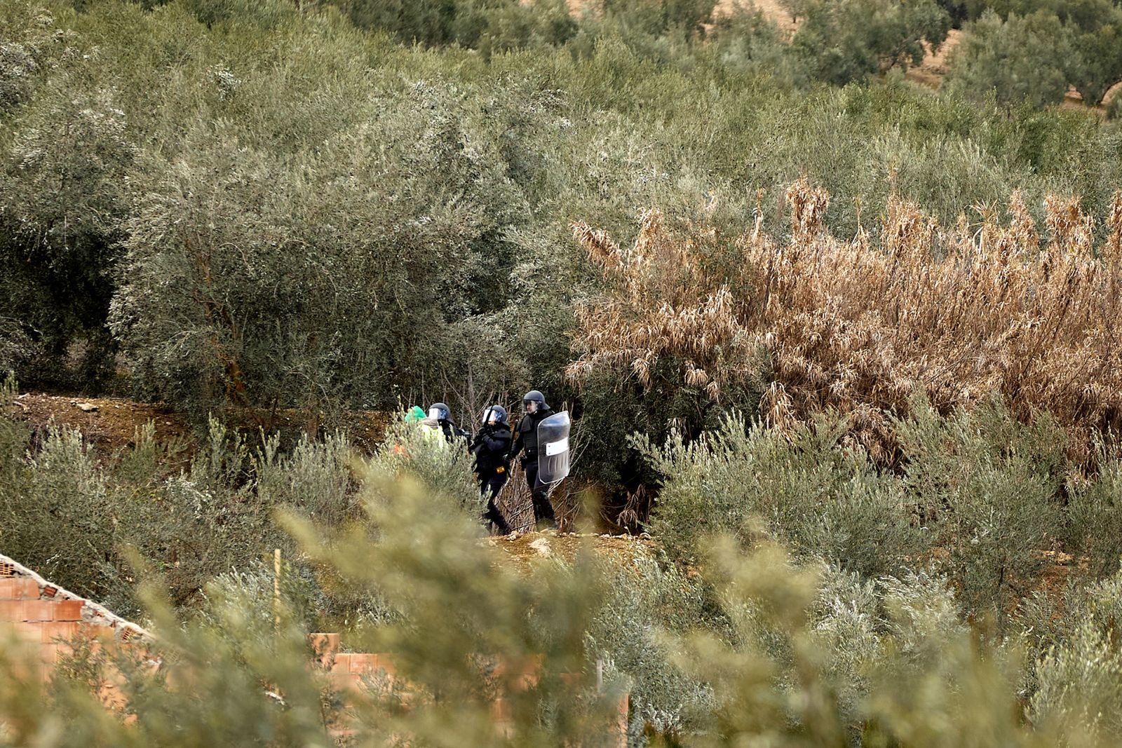 Las protestas de los agricultores de la A-92 en Huétor Tájar, en imágenes