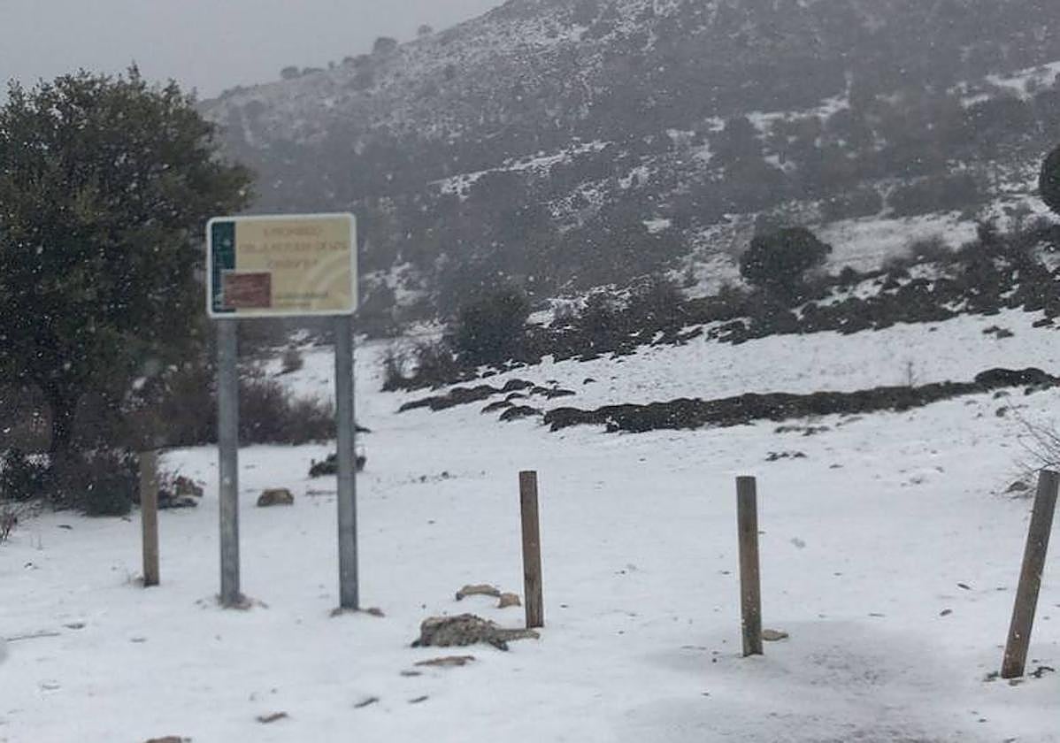 Nieve en el Puerto de la Mata, Torres.