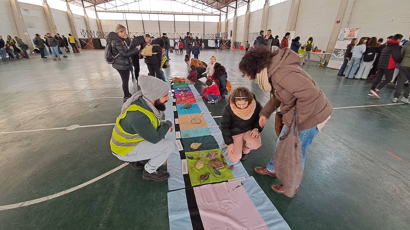 &#039;Mi primer geolodía&#039; de Padul, en imágenes