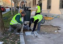 Técnicos realizan labores de mantenimiento y conservación en la ciudad.
