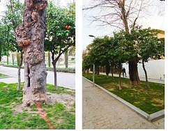 Señalización del acceso que se construirá para el centro de salud Alameda.