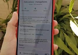 Grupo de Whataspp que han creado para avisar de cualquier incidencia.