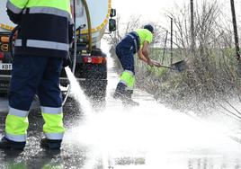 El nuevo plan extraordinario de limpieza de Linares arranca en la barriada de la Paz