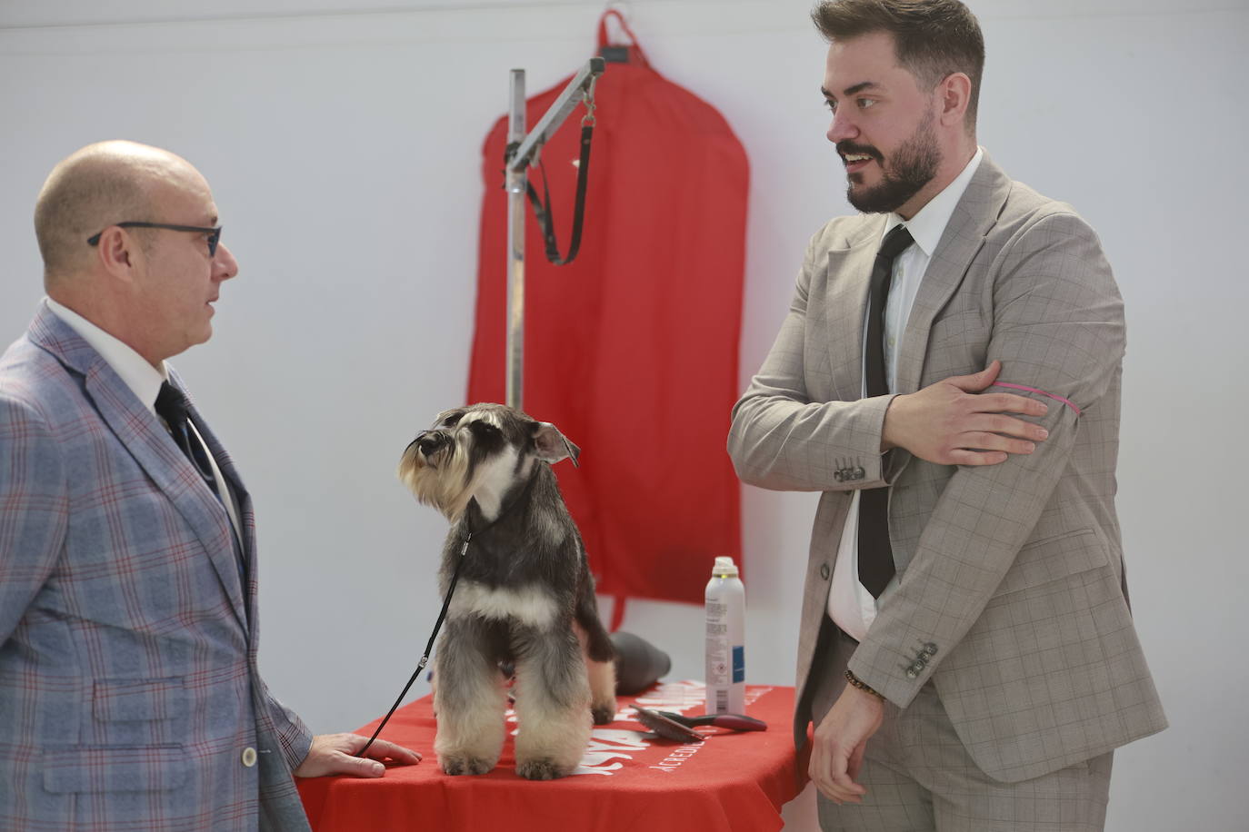 Las mejores fotos del concurso de la Exposición Internacional Canina en Armilla