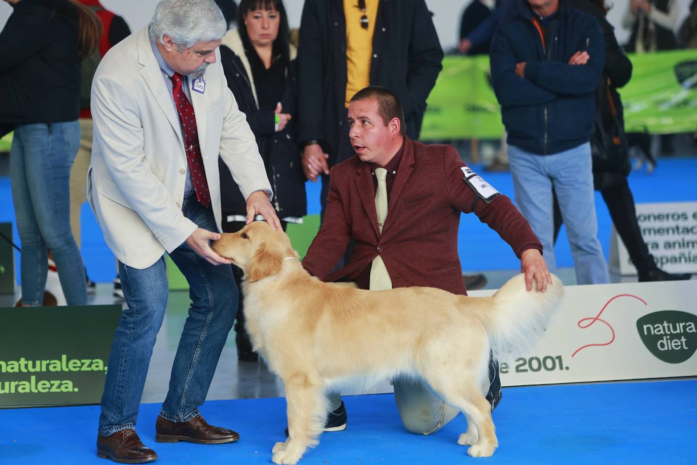 Las mejores fotos del concurso de la Exposición Internacional Canina en Armilla