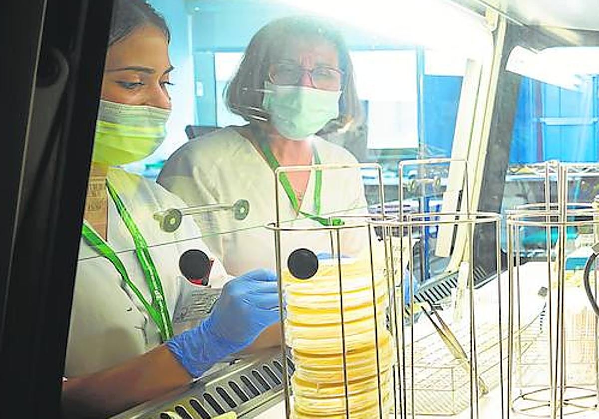 Laboratorio de análisis del Hospital Clínico San Cecilio.