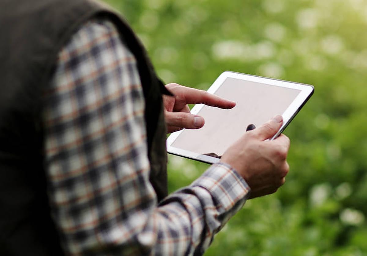 Un agricultor con la tablet en la explotación.