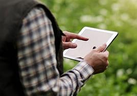 Un agricultor con la tablet en la explotación.