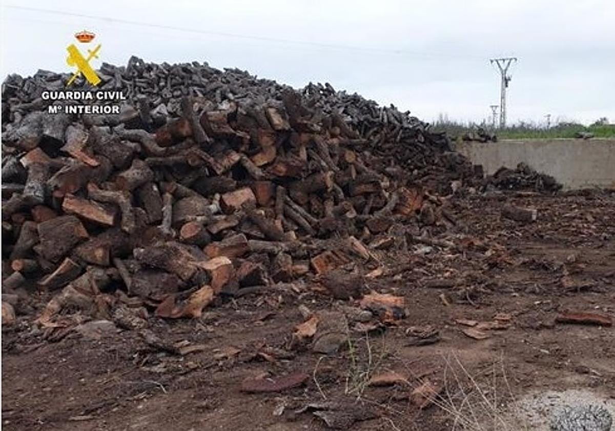 Imagen de archivo e un robo de leña.