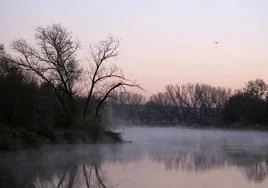 El río Tajo.