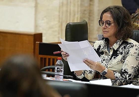 La consejera de Salud y Consumo Catalina García, durante su intervención en la sesión plenaria de este jueves.