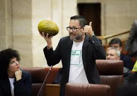 El portavoz de Adelante Andalucía, José Ignacio García, este jueves exhibe un melón en el Pleno del Parlamento.