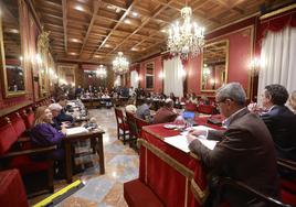 El Pleno ha aprobado por unanimidad una Declaración Institucional en relación a esta petición dirigida al Gobierno de España.