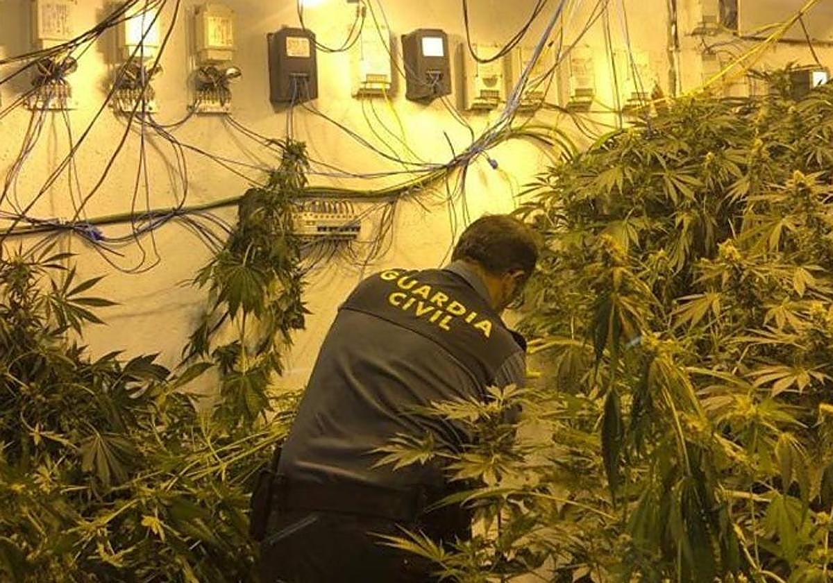 Operación antidroga de la Guardia Civil en Granada.