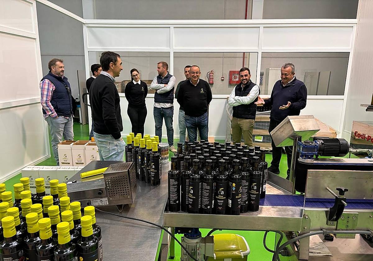 Oleoalmanzora: Innovación y Oleoturismo en Pulpí
