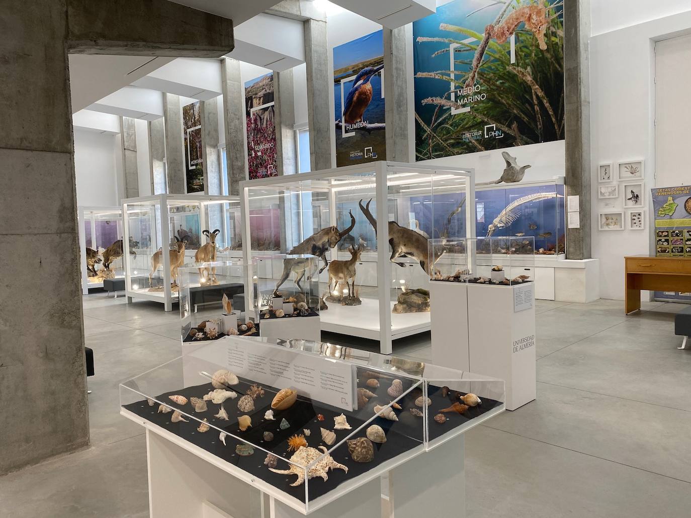 En la zona expositiva hay más de 1.500 piezas, de las que el 90% prodecen de la provincia.