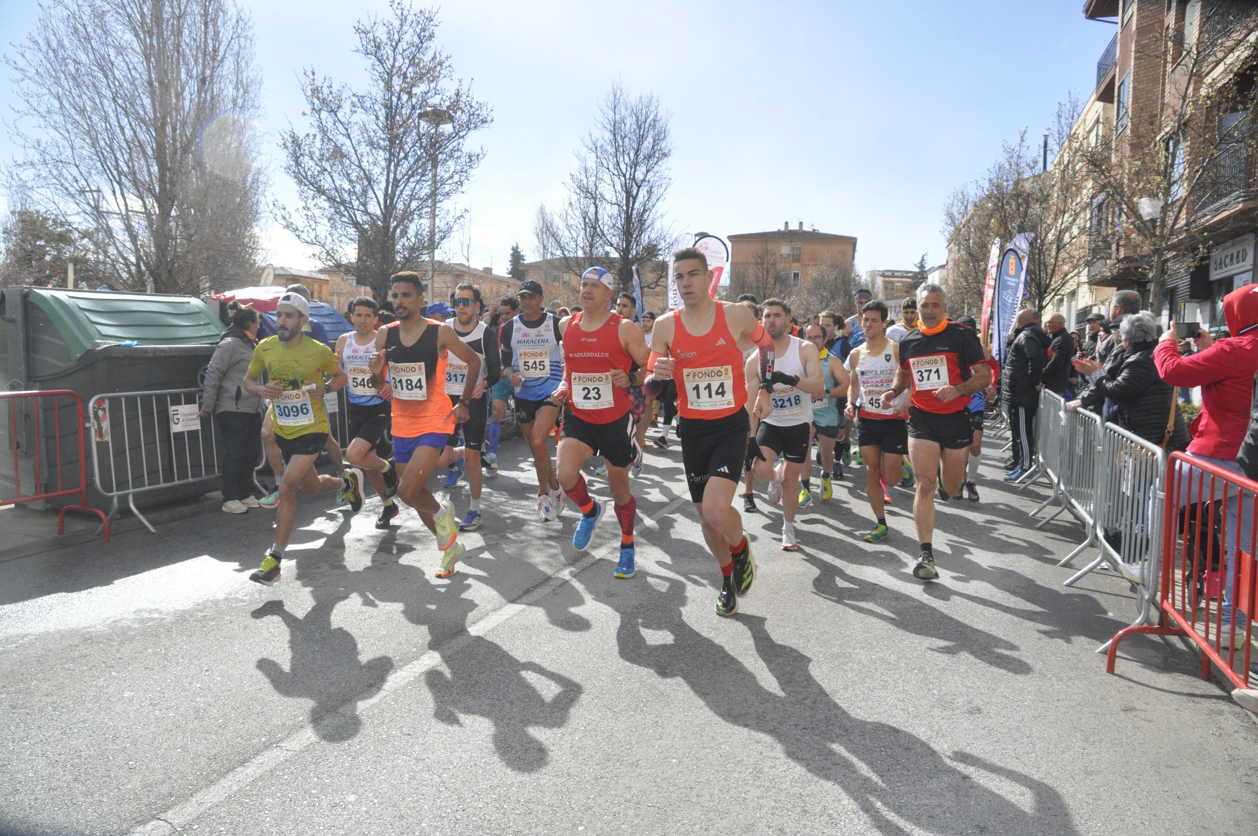 La Media Maratón Baza en imágenes