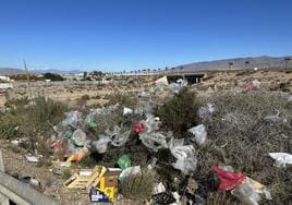 Valverde acusa al PP de la «lamentable imagen de contaminación y suciedad» en el barrio de El Alquián