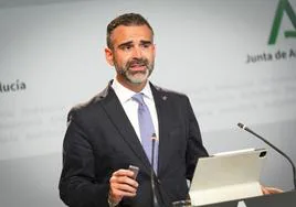 El consejero de Sostenibilidad, Medio Ambiente y Economía Azul, y portavoz del Gobierno andaluz, Ramón Fernández-Pacheco.