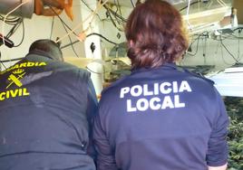 La Guardia Civil desarticula un importante centro de producción de marihuana en Huétor Vega.