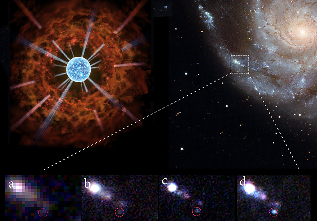 Cazada una estrella supergigante roja recién colapsada