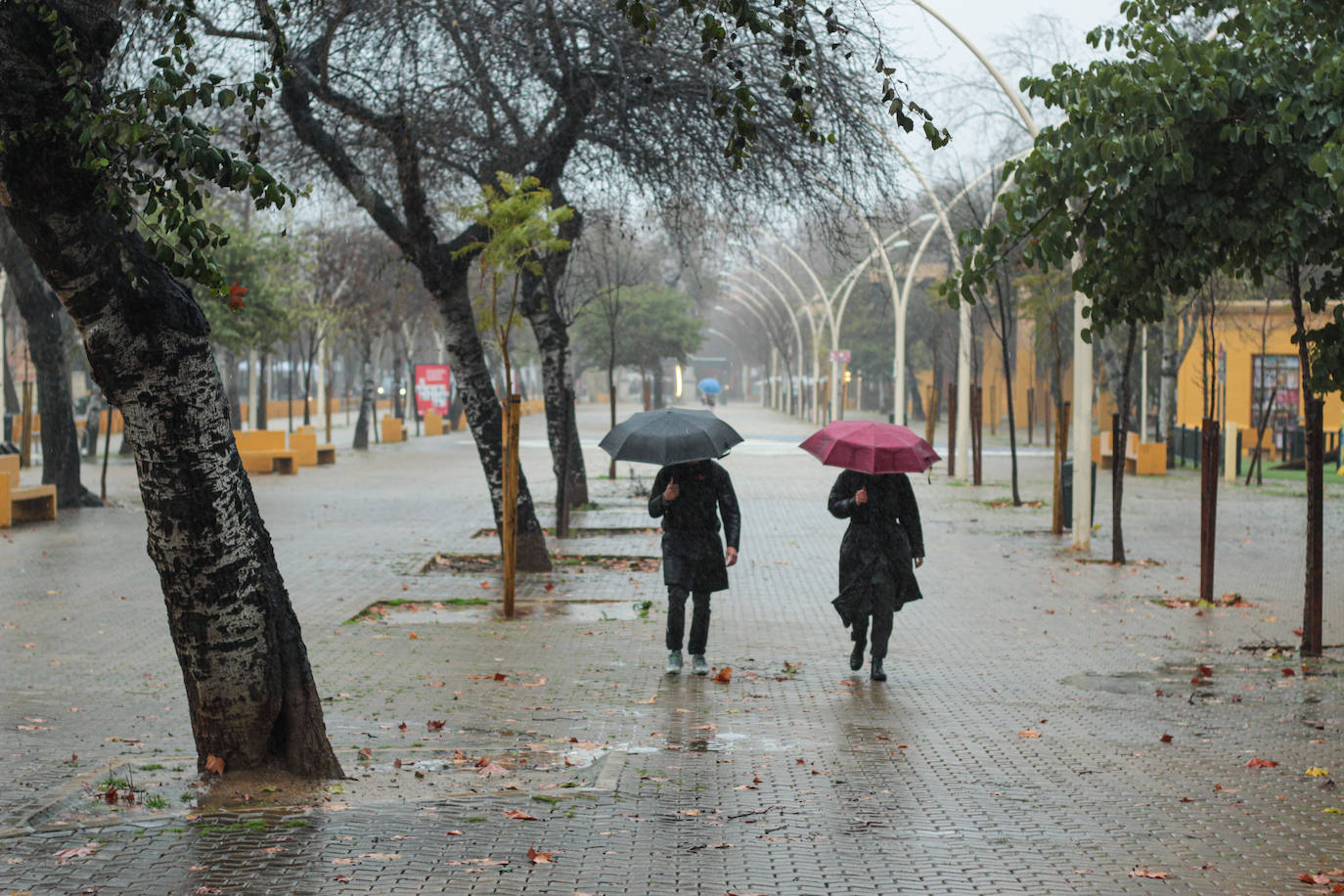 Tormentas y fuertes rachas de viento en toda Andalucía