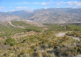 Vistas de la Sierra de Gádor.