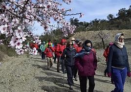 Ruta senderista 'Almendros en flor', en el municipio de Albox.